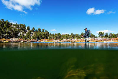 Lahontan Cutthroat Trout Photos