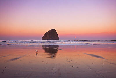 Central Oregon Coast Art Prints