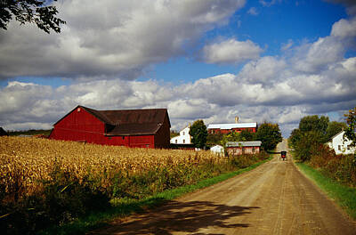 Amish Corn Field Photos