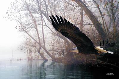 Designs Similar to Bilbow's Eagle by Bill Stephens