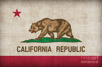 Designs Similar to California State flag