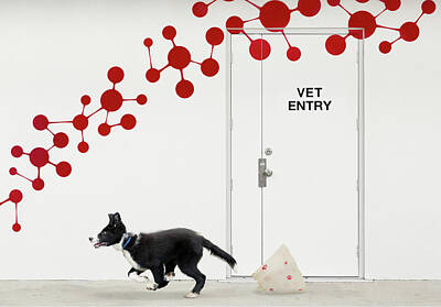 Dog At Door Art