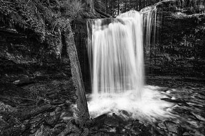 Designs Similar to Fern Falls Black and White