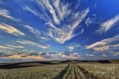 Designs Similar to Harvest Sky by Mark Kiver