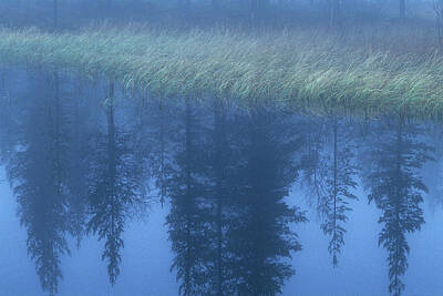 Designs Similar to Misty Lake, Sweden