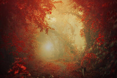 Designs Similar to Personal Journey by Ildiko Neer