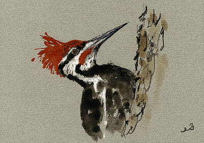 Pileated Woodpecker Art