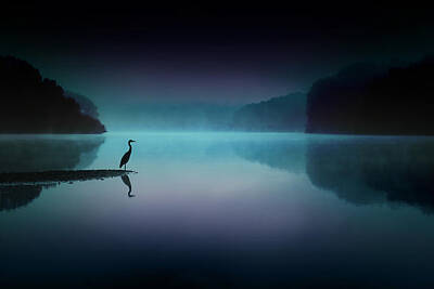  Photograph - Silent Night by Rob Blair