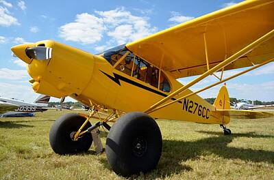 Piper Super Cub Photos