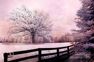 Dreamy Infrared Nature Art