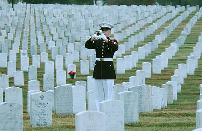 Arlington National Cemetery Photos