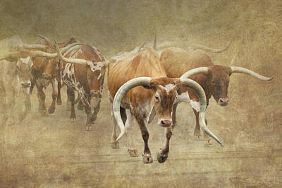 Designs Similar to Texas Longhorns 2