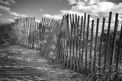 Wooden Fence Art Prints