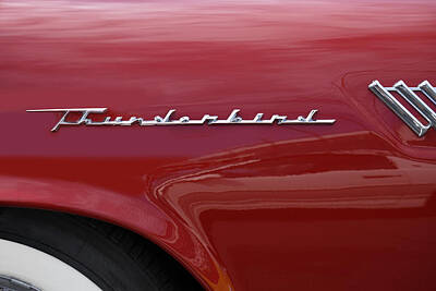 Designs Similar to Thunderbird Emblem