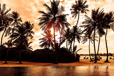 Designs Similar to Tropical beach on sunset