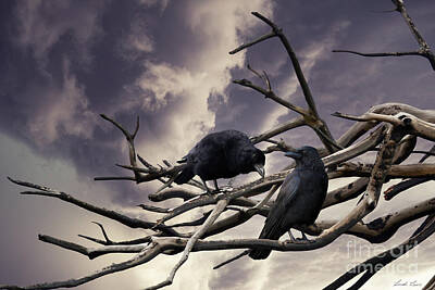 Designs Similar to Two Crows by Linda Lees