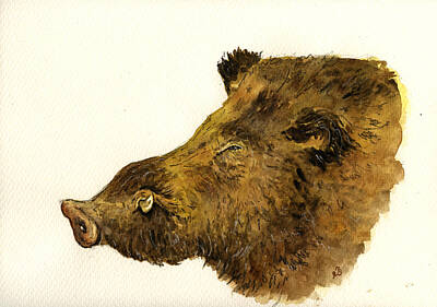Boars Head Paintings