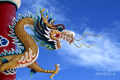 Impression photo for Sale avec l'œuvre « Dragon chinois noir et blanc » de  l'artiste Tijn-W-B