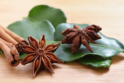 Designs Similar to Star anise and cinnamon
