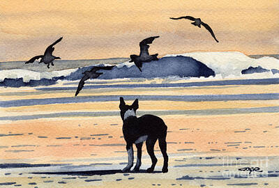 Boston Terrier Watercolor Art Prints
