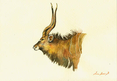 Designs Similar to Greater Kudu #1 by Juan  Bosco