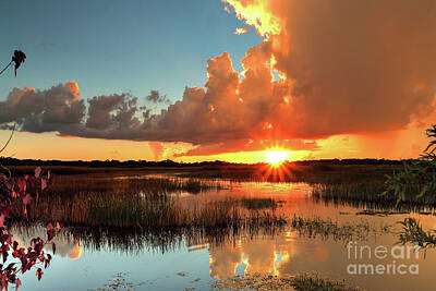 Designs Similar to Marsh Sunset #1 by Rick Mann