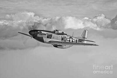 Designs Similar to A P-51d Mustang In Flight #10