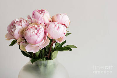  Photograph - Pink peonies by Natalie Board