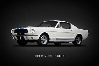 Designs Similar to 65 Shelby GT350 by Mark Rogan