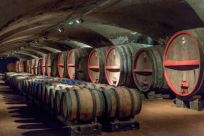 Designs Similar to A Cellar of Burgundy