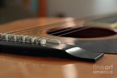  Photograph - Angled view of guitar pins and strings closeup by Doug Moore