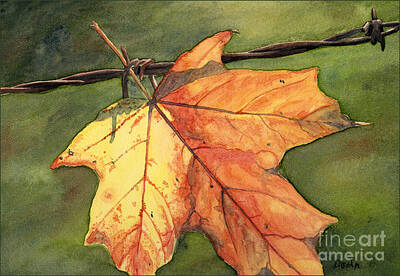 Maple Leaf Paintings
