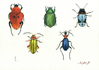 Designs Similar to Beetles by Juan Bosco