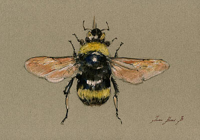 Bumble Bee Paintings