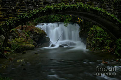 Whatcom Falls Park Art