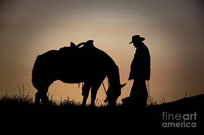 Backlit Cowboy Photos