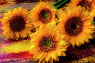 Designs Similar to Gorgeous Lovely Sunflowers