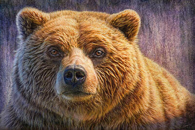  Painting - Grizzly Portrait by Phil Jaeger