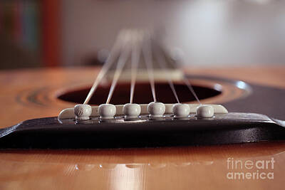  Photograph - Guitar close-up of the pins and strings low angle by Doug Moore