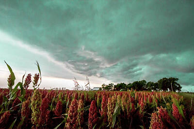 Barn In Warming Storm Art