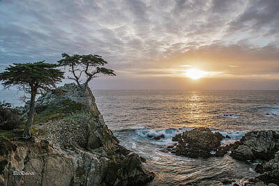 17 Mile Drive Photos