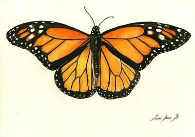 Butterfly Paintings