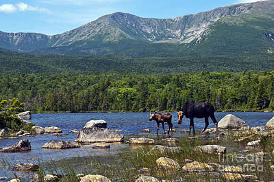 Baxter State Park Photos