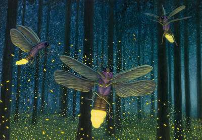 Firefly Paintings