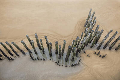  Photograph - Pilings on a Sandy Beach by Diana Hughes