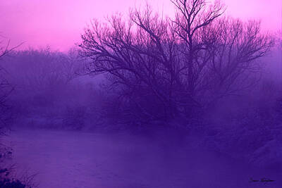  Photograph - Purple Haze by Bruce Thompson