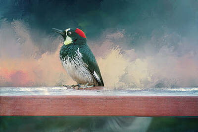 Acorn Woodpecker Digital Art