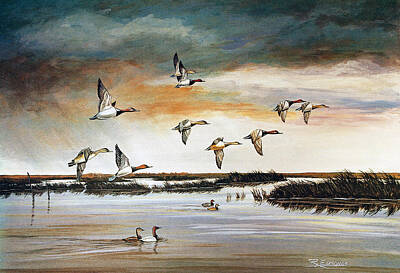 Ducks In Flight Paintings