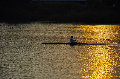 Sculler Photos