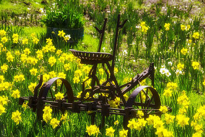 Designs Similar to Rusty Plow In Daffodils 